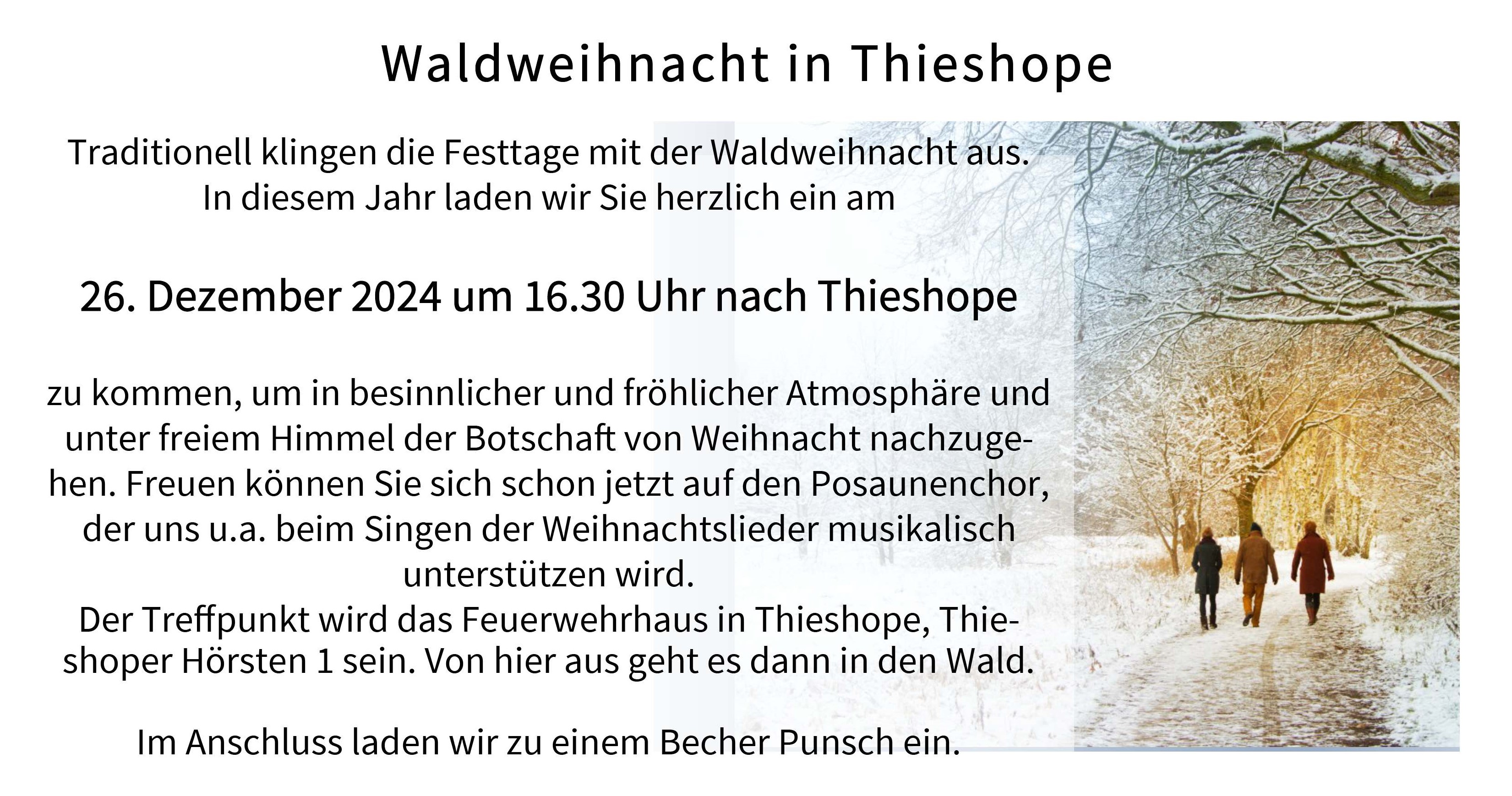 Waldweihnacht 24
